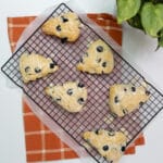 SCONES-DE-BLUEBERRY-1