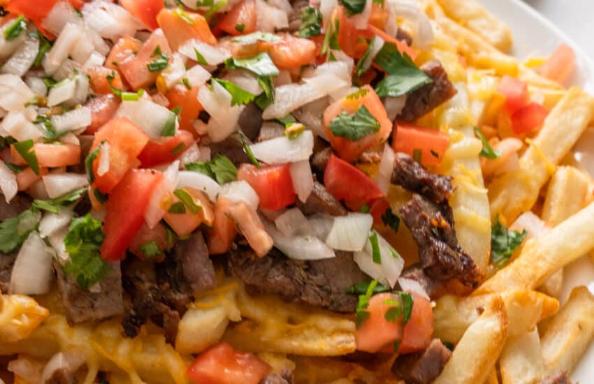 Carne asada fries-1